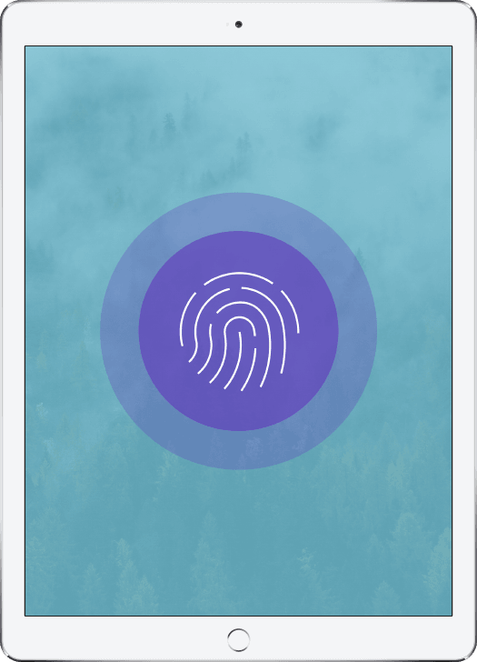 Biometrics Authentication Biometrics Authentication